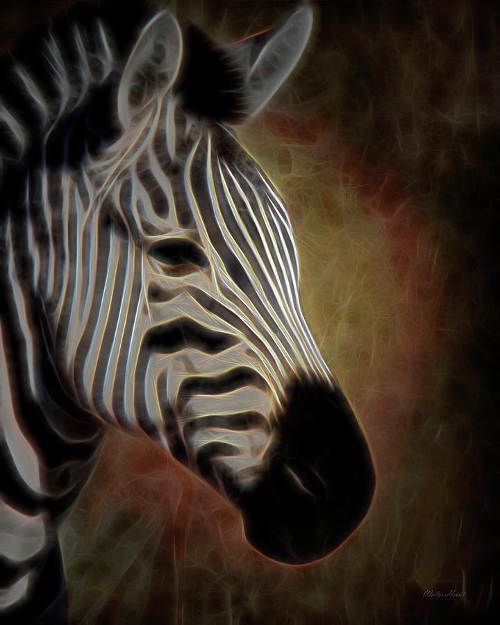 Zebra PhotoArt 3a Digital Art by Walter Herrit