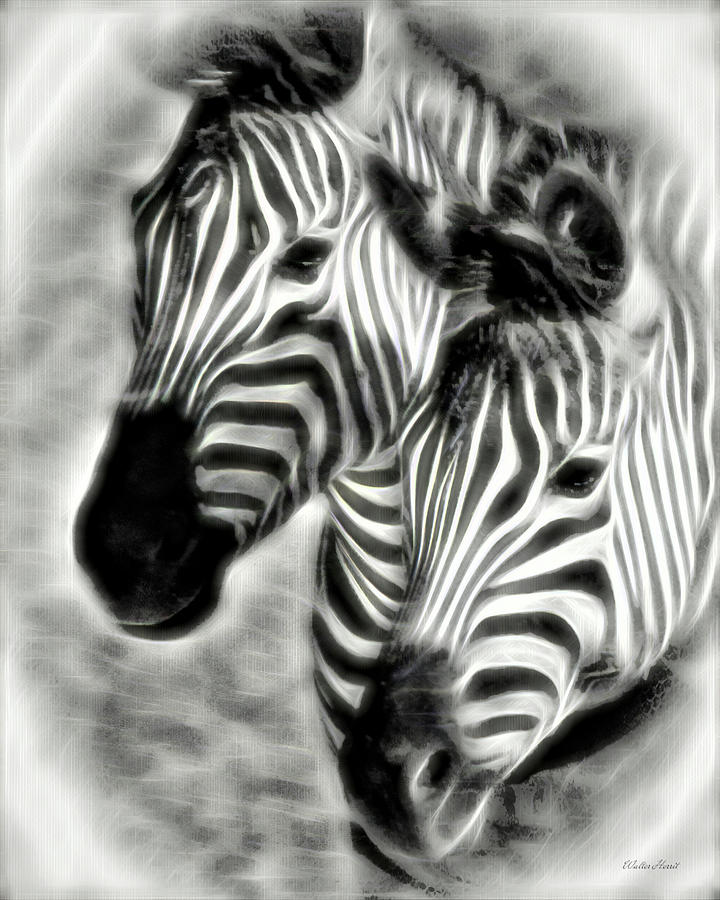 Zebra Digital Art Painting 4a Painting by Walter Herrit