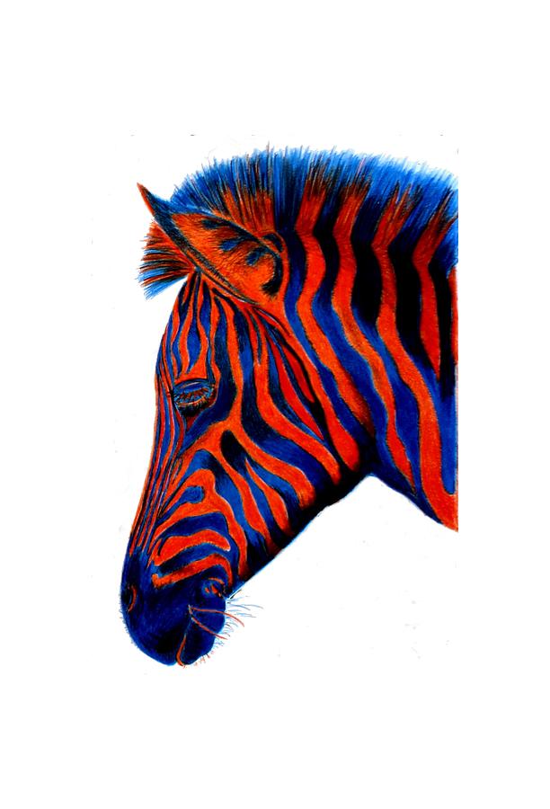 Zebra Red Strips Drawing by Ella Boughton