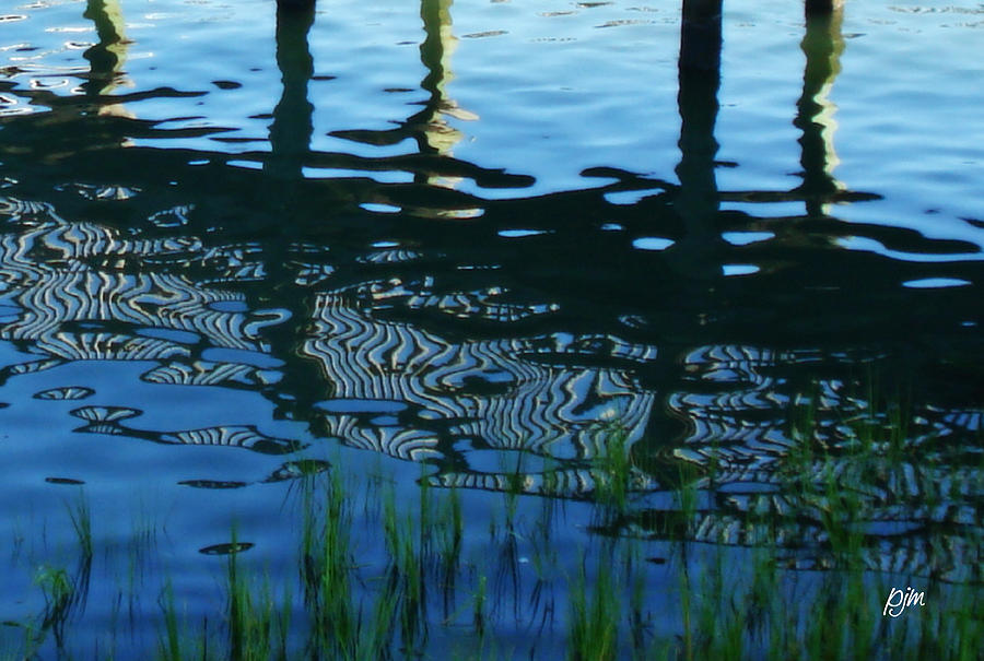 Zebra Reflections Photograph by Phil Mancuso