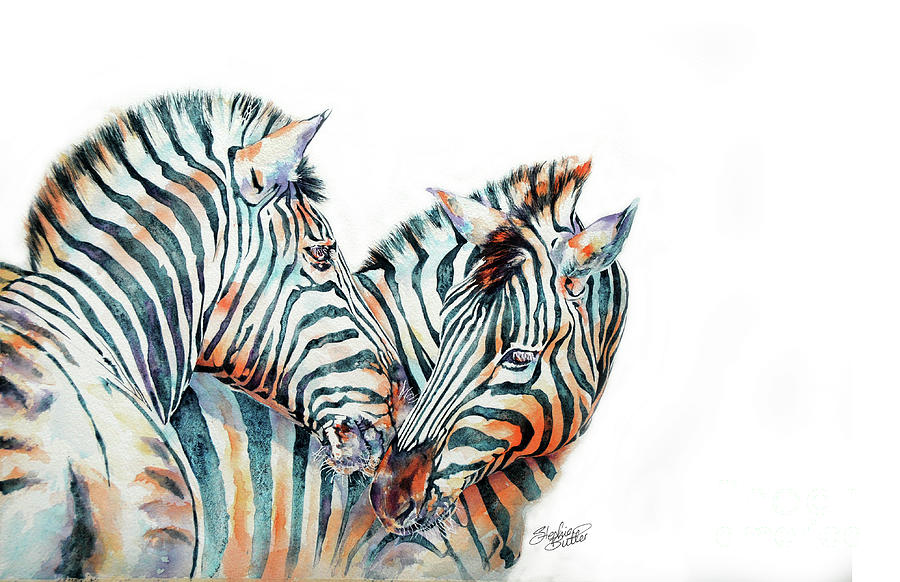 Wildlife Painting - Zebra by Stephie Butler