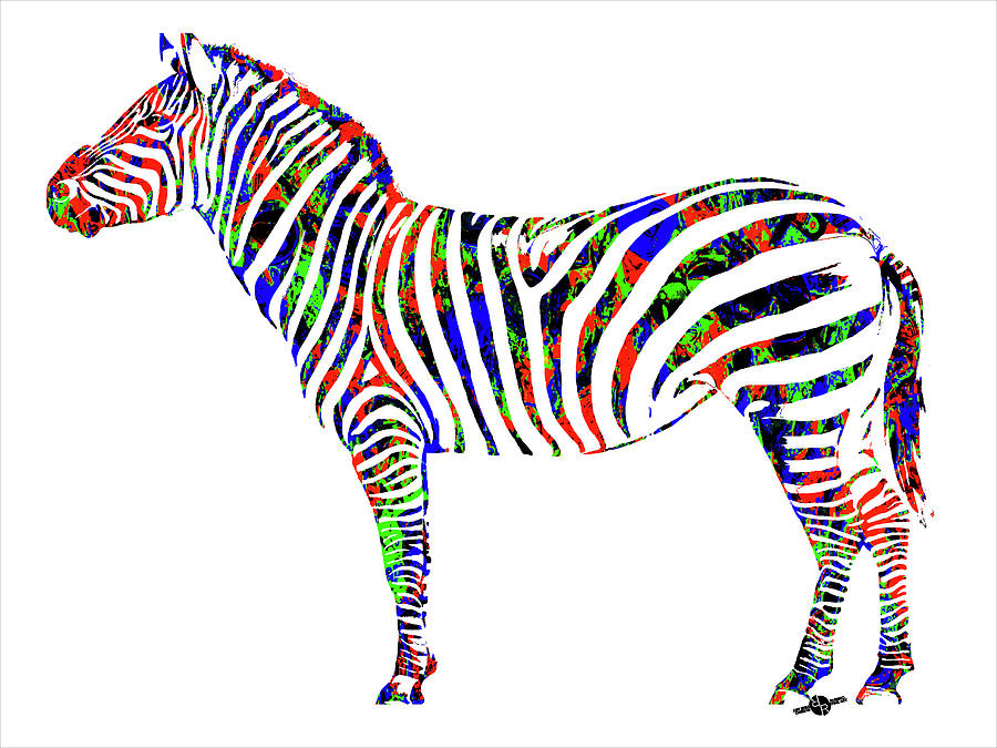 Zebra Study 2 Painting by Tony Rubino