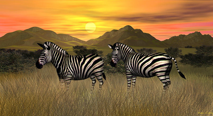 Wildlife Digital Art - Zebra Sunset by Walter Colvin