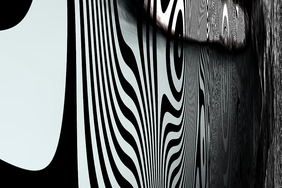 Zebra Trip Digital Art by Laura Boyd
