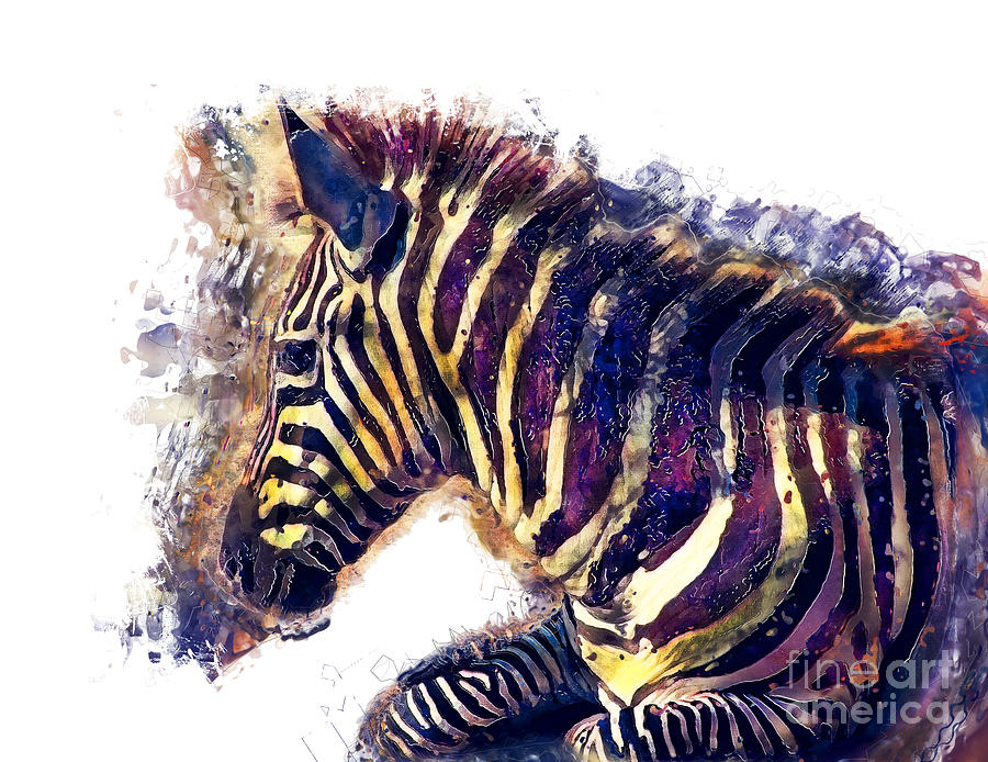 Zebra watercolor painting Painting by Justyna Jaszke JBJart