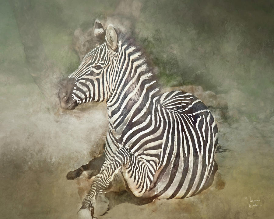 Zebra Watercolor Mixed Media by Teresa Wilson