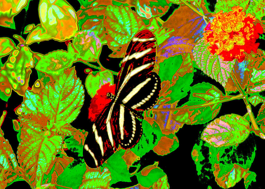 Zebra Wing Butterfly Painted Digital Art by Rosalie Scanlon