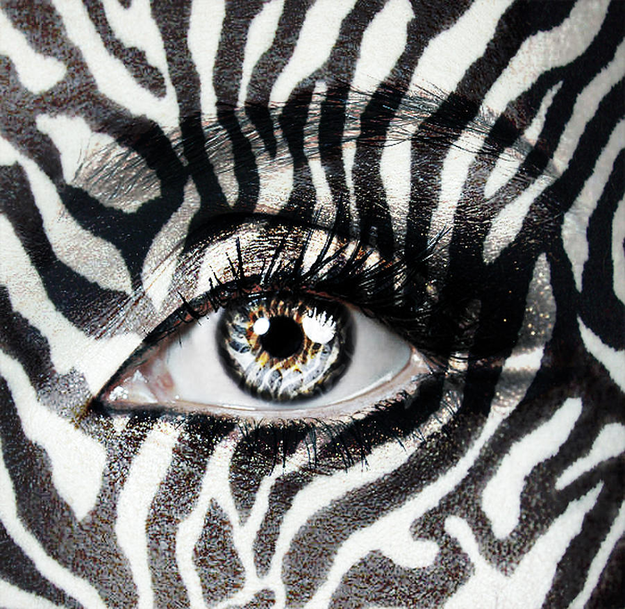 Zebra Photograph - Zebra  by Yosi Cupano