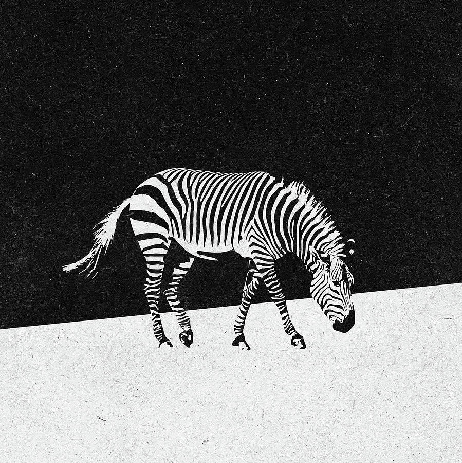 Nature Digital Art - Zebra by Zoltan Toth
