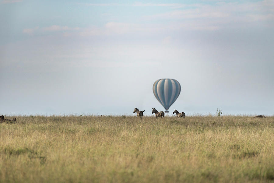 Zebras and balloon on the horizon in Serengeti Photograph by RicardMN Photography