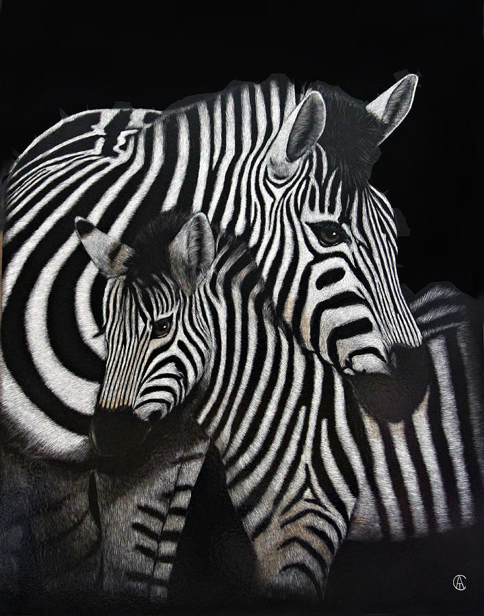 Zebras Painting by Angie Cockle