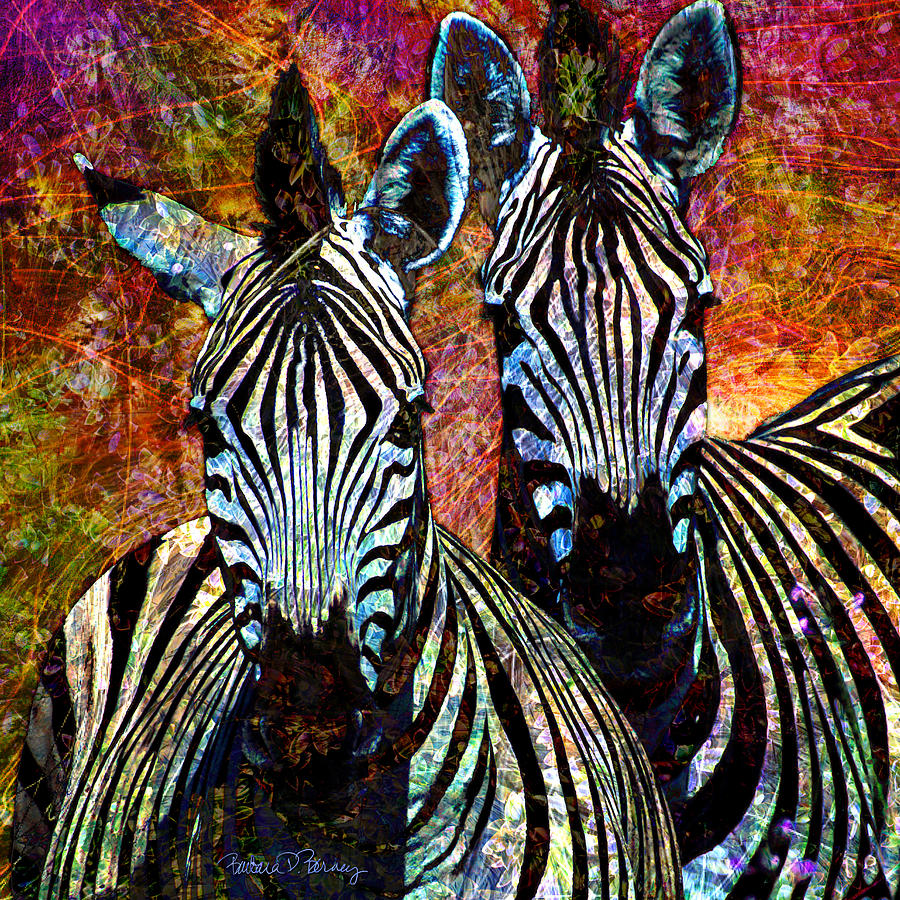 Zebras Digital Art by Barbara Berney