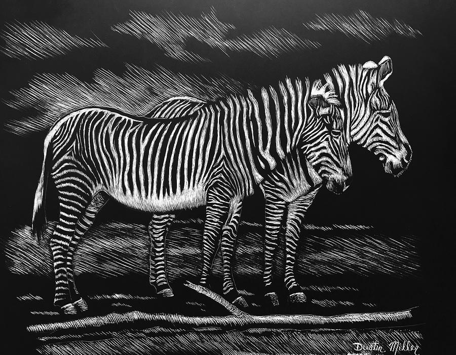 Zebras Drawing by Dustin Miller