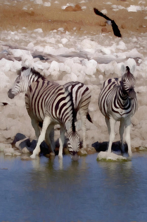 Zebras Illusion Digital Art by Ernest Echols