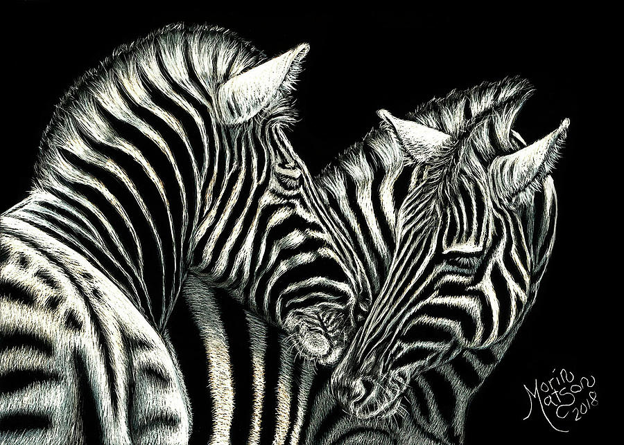 Zebras by Monique Morin Matson Zebras by Monique Morin Matson