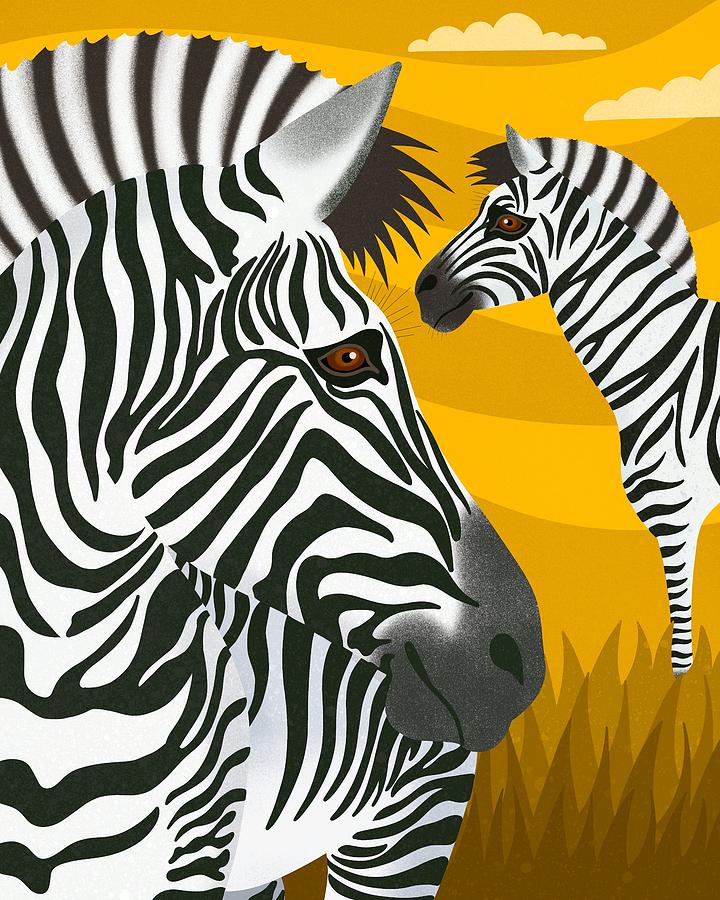 Zebras Digital Art by Nicole Wilson - Fine Art America