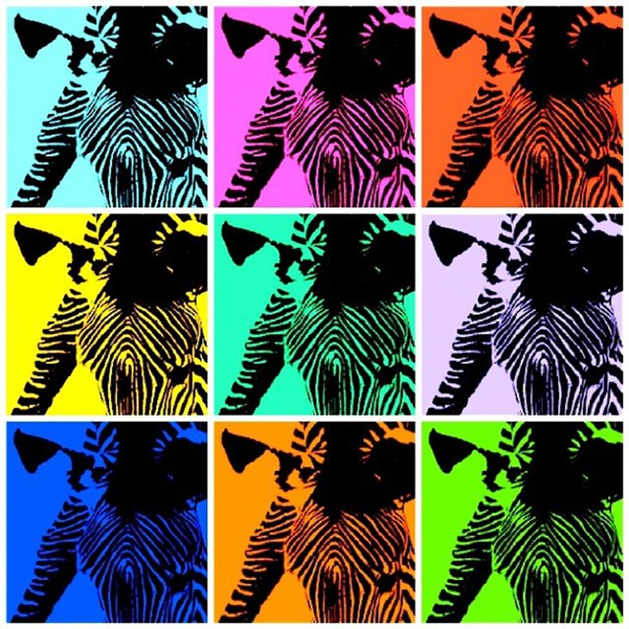Zebra Photograph - Zebras Pop Art Style!

#zebra #zebras by Elizabeth Whycer