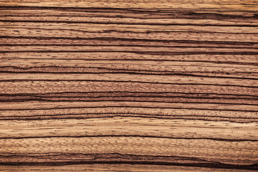 Zebrawood - Natural Abstract Photograph by Phil Cardamone