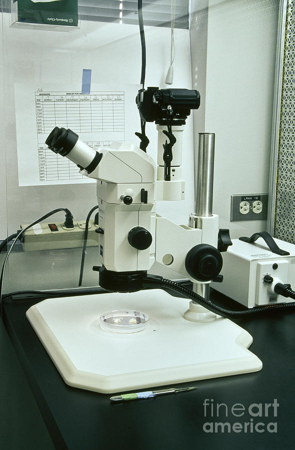Zeiss 5v 11 Dissecting Microscopei Photograph by Inga Spence