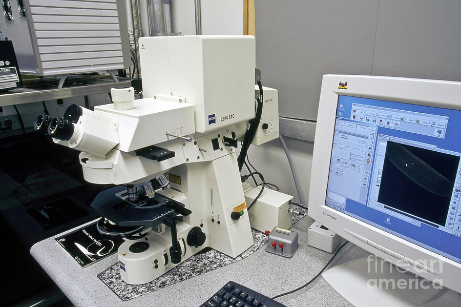 Zeiss Lsm510 Laser Scanning Microscope Photograph by Inga Spence