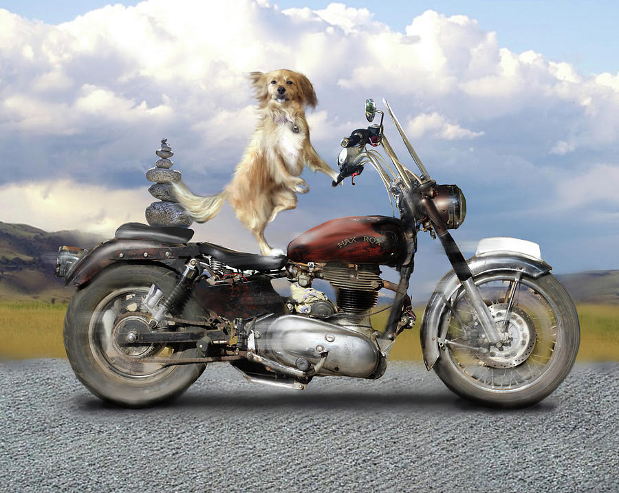Zen and the Art of Muttcycle Maintenance Digital Art by Pic Michel