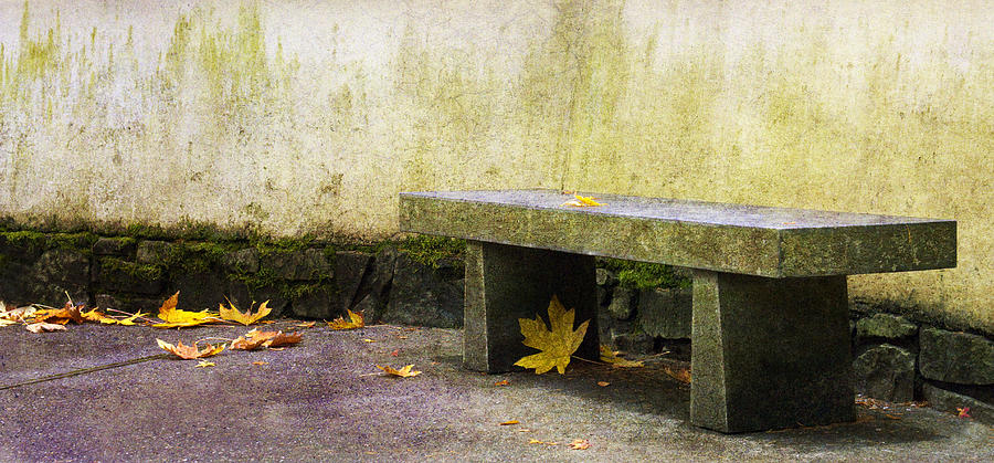 Fall Photograph - Zen Bench by Rebecca Cozart