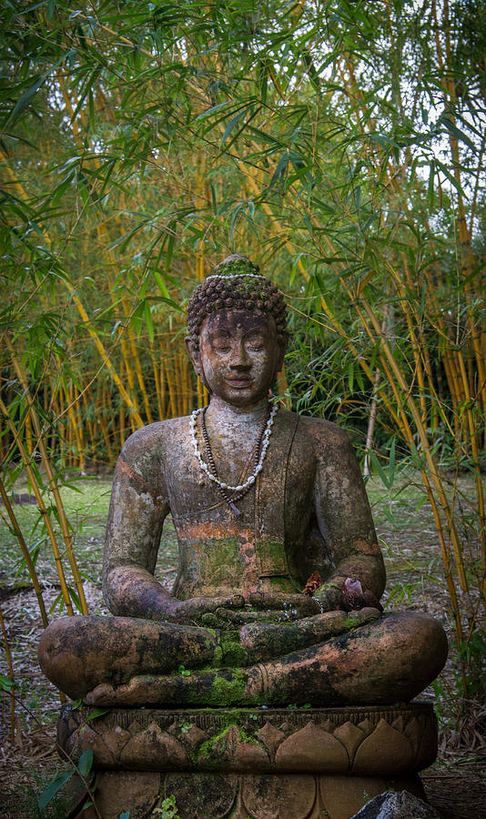 Zen Buddha Photograph by Roger Mullenhour