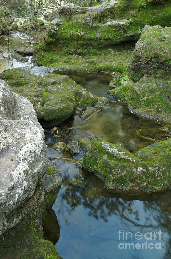 Zen Creek Scenery Photograph by Angelo DeVal