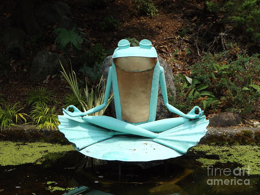 Zen Froggy Photograph by Erick Schmidt