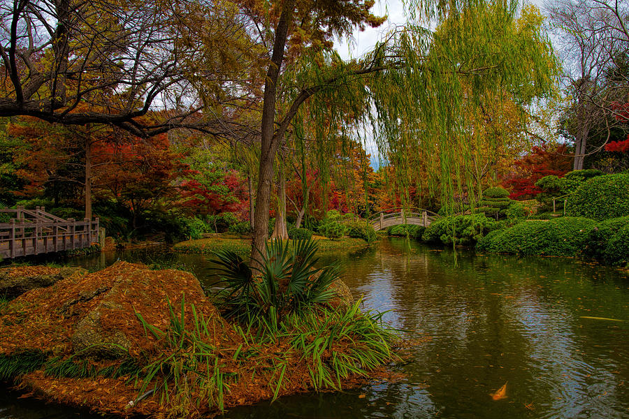 Zen Garden Photograph