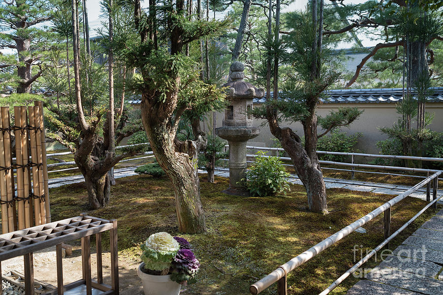 Zen Garden, Kyoto Japan 5 Photograph by Perry Rodriguez