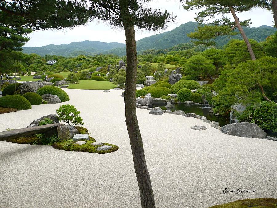Zen Garden Photograph by Yumi Johnson