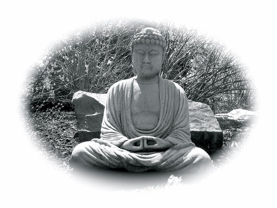 Zen by Michael Lucarelli Zen by Michael Lucarelli
