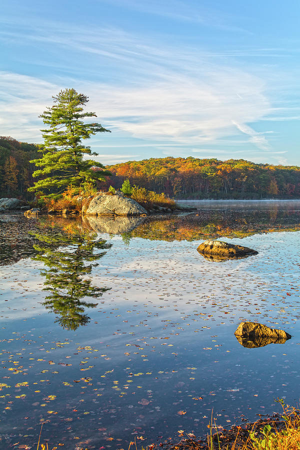 Zen Morning At Little Long Pond Vertical Photograph by Angelo Marcialis