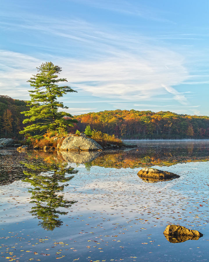Zen Morning At Little Long Pond Vertical Cropped Photograph by Angelo Marcialis