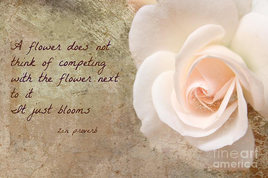 Rose Photograph - Zen Proverb 4 by Clare Bevan