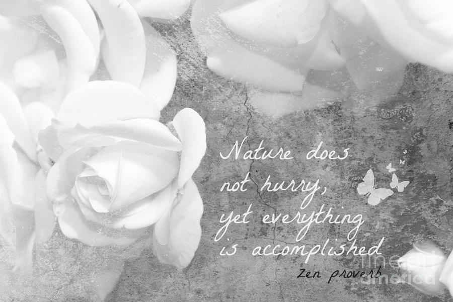 Buddha Photograph - Zen Proverb 6 by Clare Bevan