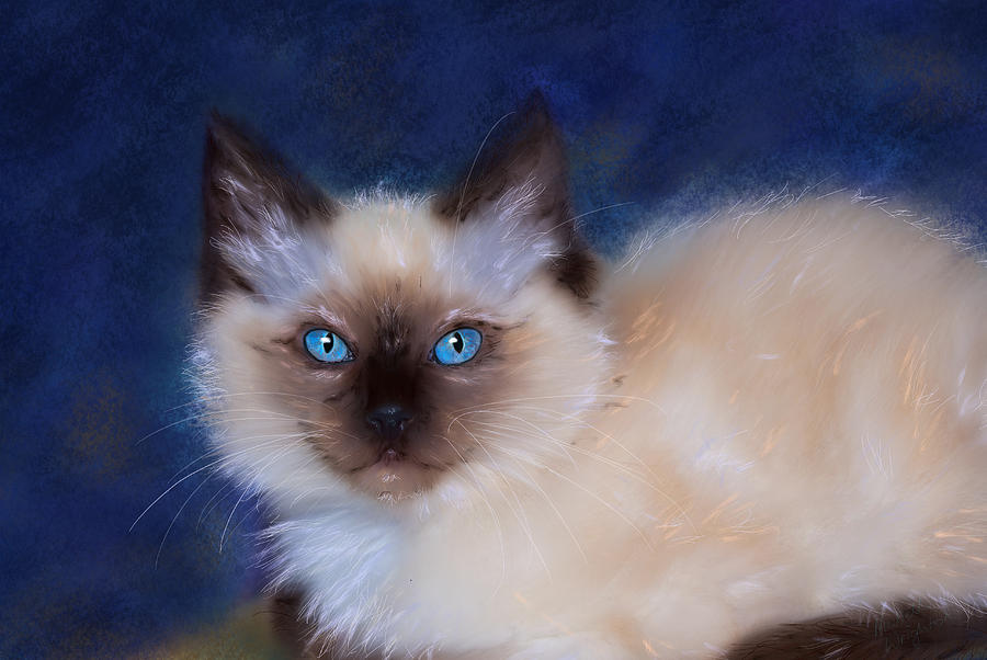 Zen Ragdoll Cat Painting by Michelle Wrighton