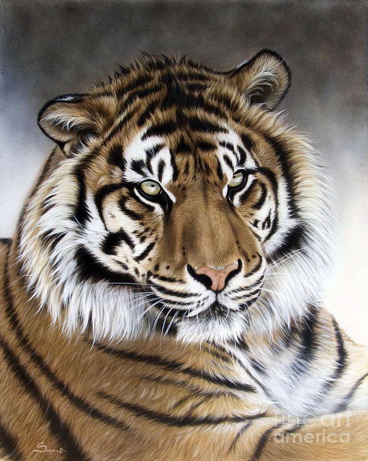 Wildlife Painting - ZEN by Sandi Baker