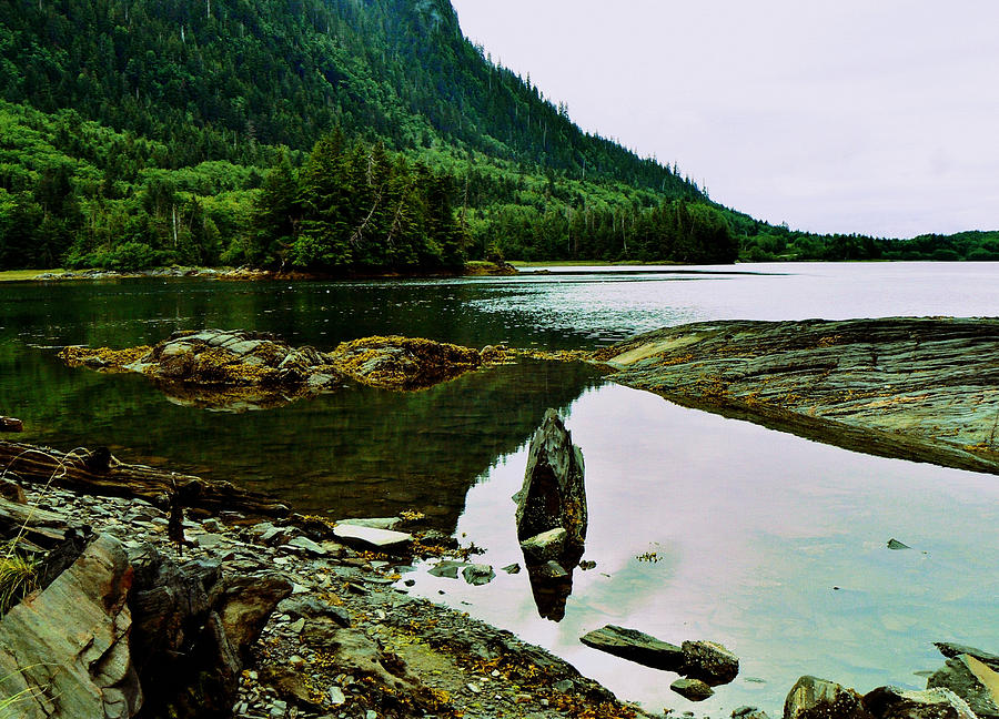 Zen Shores Haida Gwaii BC Photograph by Barbara St Jean