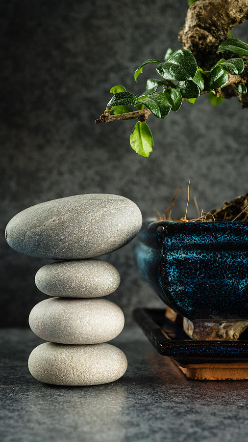 Zen Stones And Bonsai Tree Photograph by Marco Oliveira - Pixels