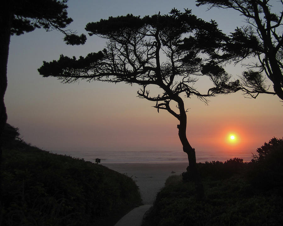 Zen Sunset Photograph by HW Kateley