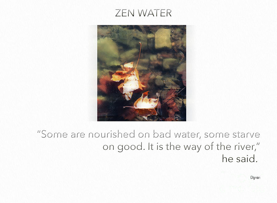zen water benefits zen water benefits