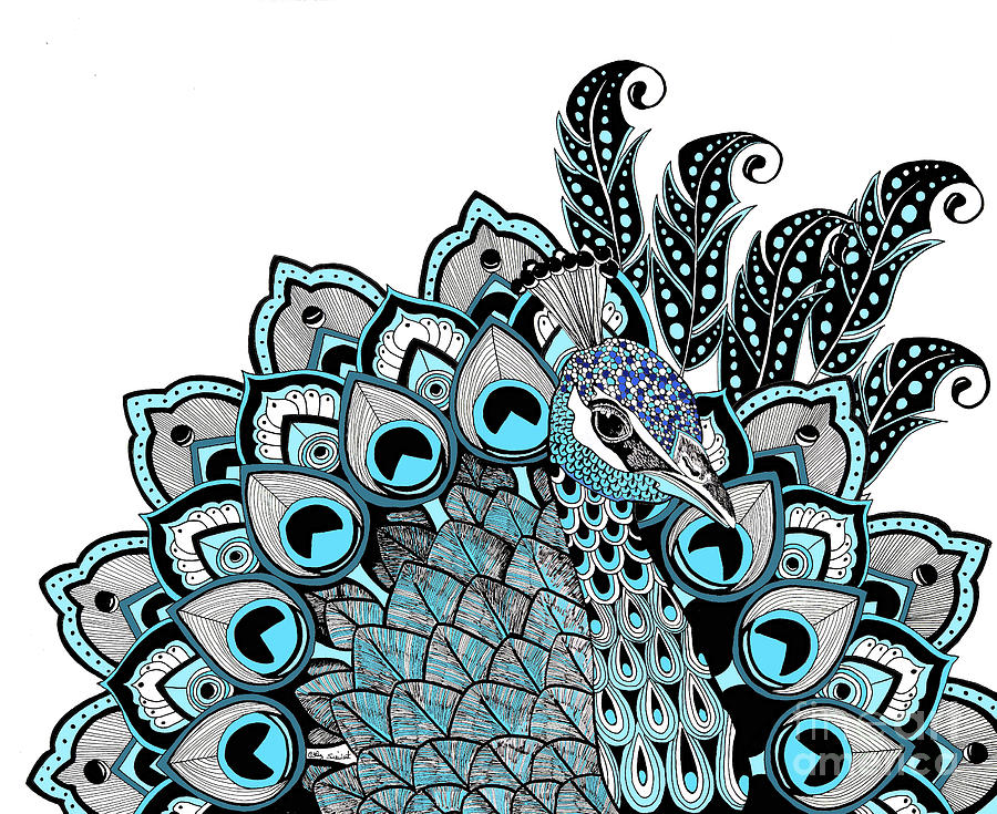 Peacock Zentangle Art 2751