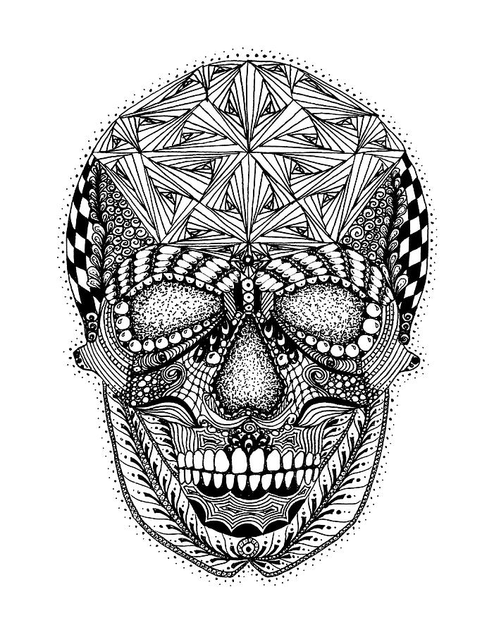 human skull for drawing