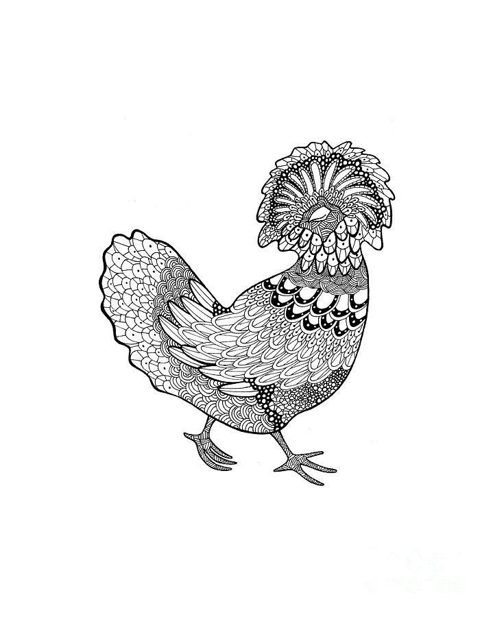 Chicken Drawing - Polish from Difficult Chickens Coloring Book by Sarah Rosedahl