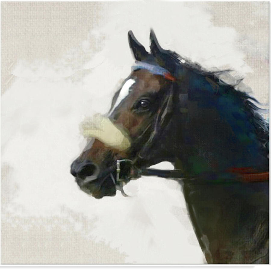 Horse Digital Art - Zenyatta by Linda Clark