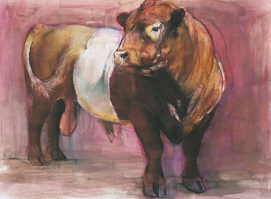 Cow Painting - Zeus  Red Belted Galloway Bull by Mark Adlington