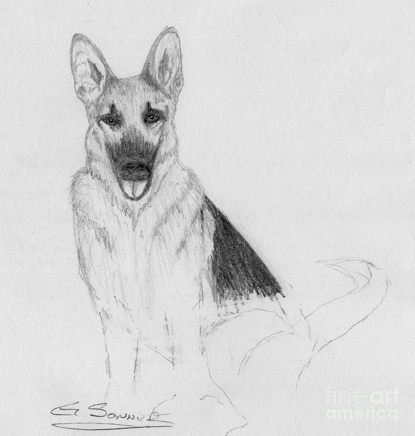 Zeus sit Drawing by George Sonner