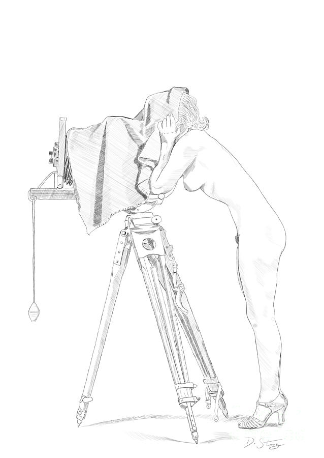 Nude Drawing - Ziegfeld Follies Girl by David Starry